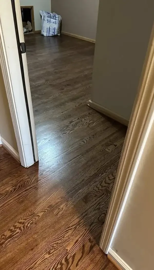 483914595_954733190154581_3073612424452838063_n